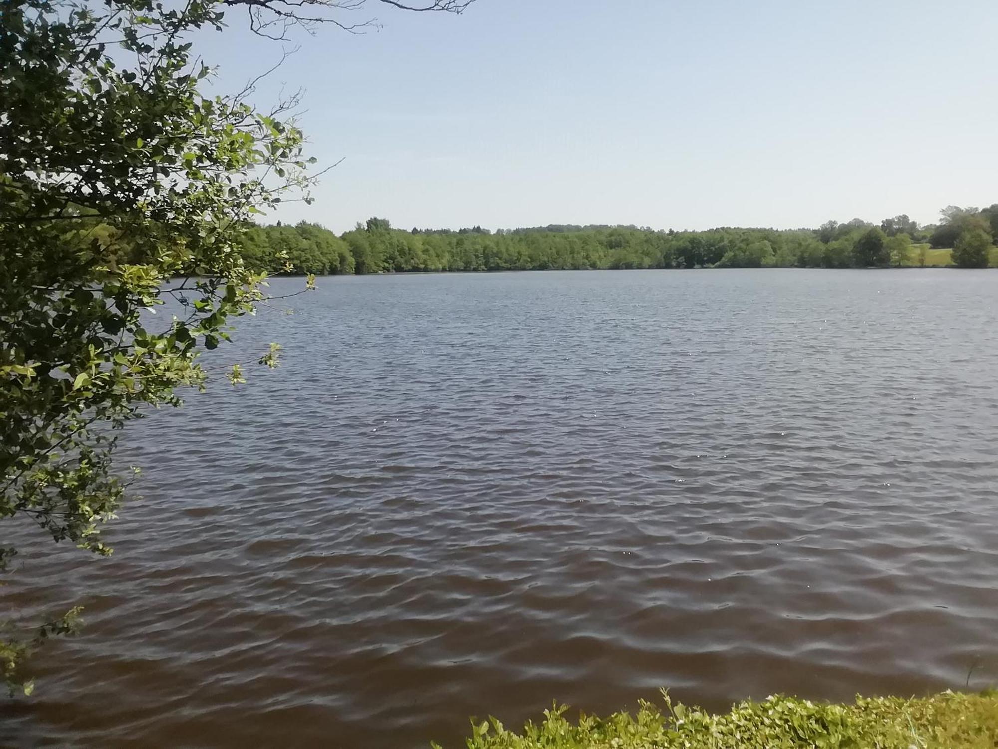 High Mill Lake - Etang De Brigueuil Eksteriør billede